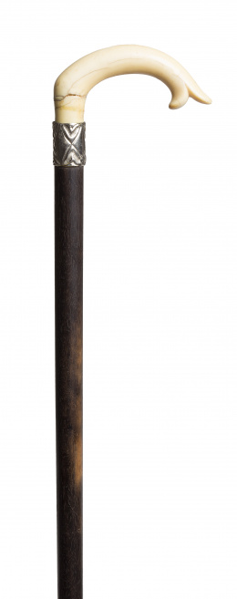 979.  Bastón con mango de marfil y reborde de plata, S. XIX
