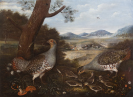 806.  JOHANN SEITZ (Austria, 1734- 1816)Pareja de perdices pardillas con sus crias sobre un paisaje1802