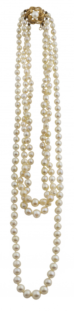 202.  Collar de tres hilos de perlas cultivadas de tamaño creciente hacia el centro, con cierre de oro en forma de flor