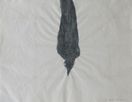 348.  KIKI SMITH (Núremberg, 1954)Single Crow II, 1995.
