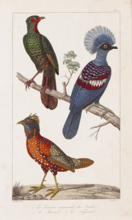 746.  GEORGE- LOUIS LECLERCK (177-1788) y EDOUARD TRAVIES DE VILLERS (1727-1794)Pájaros