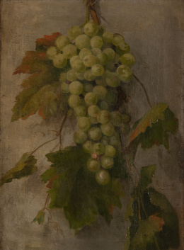 1041.  RICARDO MARTÍ (Barcelona, 1868-1936)Racimo de uvas
