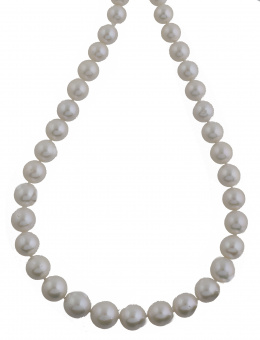 329.  Collar de perlas blancas de los Mares del Sur, con tamaño graduado creciente hacia el centro