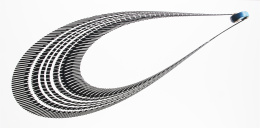 861.  REGINA SILVEIRA (Porto Alegre, Río Grande del Sur, Brasil, 1939)Gancho - Da serie Derrapagem, 2005