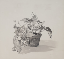 1174.  GERARDO PITA (Madrid, 1950)Tiesto