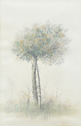 1024.  MARCIAL GÓMEZ (Hinojosa del Duque, Córdoba, 1930 - Córdoba, 2012)Árbol