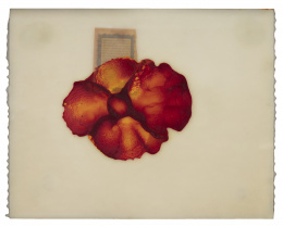 1074.  JOSÉ MARÍA SICILIA (Madrid, 1954)La luz que se apaga