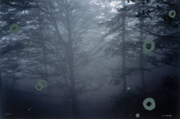 1003.  JUAN UGALDE (Bilbao, 1958)Bosque azul