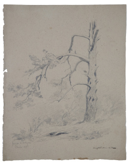 844.  CARLOS DE HAES (Bruselas, 1826-Madrid, 1898)Árbol en la fuente de Ortigosa, el Paular1858