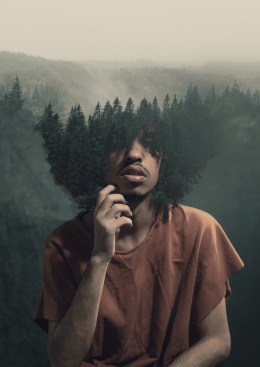 1114.  BIT ERRRORGreen Mind, 2020