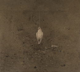 1152.  FLORENCIO GALINDO (Adanero, 1947 - Ávila, 2016)Paloma, 1976