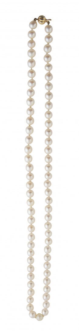 190.  Collar de un hilo de perlas cultivadas con cierre de esfera gallonada en oro amarillo de 18K.