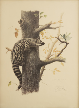 760.  JOSECHU LALANDA, SIGLO XXLa Salceda-Montes de Toledo IX-1970