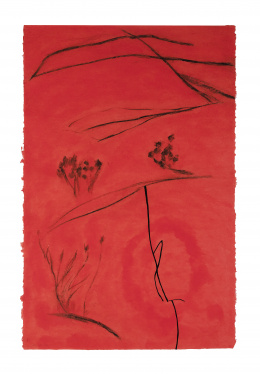 943.  S.XXS.T, 2000