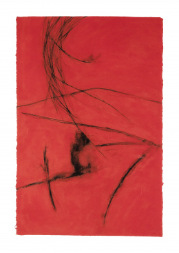 944.  S.XXS.T, 1999