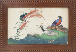 666.  Aves.Papel de arroz pintado.China, S. XIX.