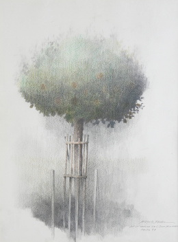 1005.  MARCIAL GÓMEZ PAREJO (Hinojosa del Duque, 1930 - Córdoba, 2012)En la encina de San Joan de la Arena, 1987