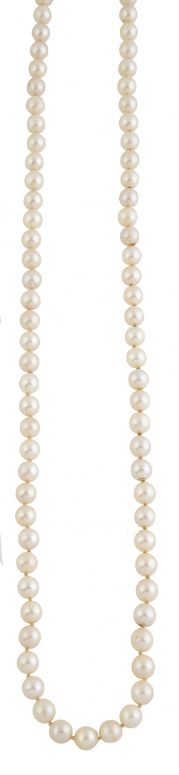 226.  Collar de un hilo de perlas cultivadas de 8 mm con cierre ovoide gallonado