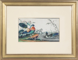 663.  Aves en el río.Papel de arroz pintado.China, S. XIX.