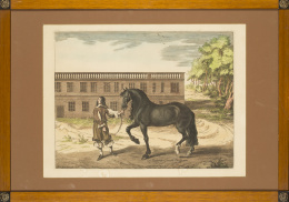 210.  CORNELIS VAN CAUKERCKEN (1626-1680)Le Superbe Cheval de Spanie.