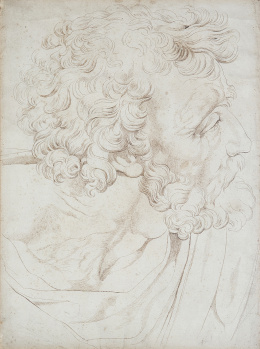 865.  ESCUELA ESPAÑOLA, FF. SIGLO XVIIIEstudio de una cabeza