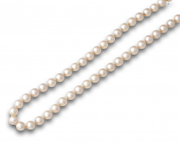 566.  Collar de un hilo de perlas cultivadas de 6,5 mm con cierre en plata.