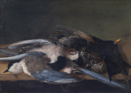 807.  JOHN VAN SON (1658 - 1701)Tres rabilargos, un zorzal alirrojo y un mirlo sobre un pedestal y Dos martin pescador, una una becacina y un andarrios sobre un pedestal