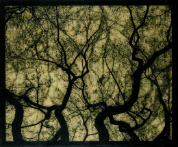 1046.  DOUG & MIKE STARN (América, 1961)“Structure of Thought 19 (from the Absorption of Light series)”, 2001-2007.