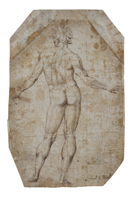 824.  ATRIBUIDO A FRANCISCO RIBALTA (Solsona, Lérida, 1565-Valencia, 1628)Estudio anatómico de hombre de espaldas