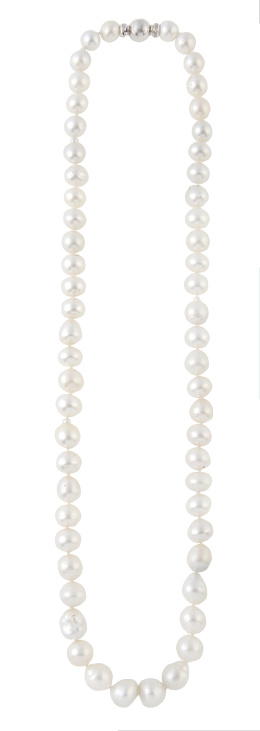 336.  Collar largo de perlas australianas de intenso oriente, lig