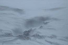 1070.  LUIS COQUENÃO (Lobito, Angola, 1953)Scapes, 2009