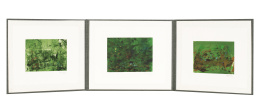 959.  PAUL EDWARD DAVIES (Inglaterra, 1962)Green Thoughts IV-V-VI, 2016