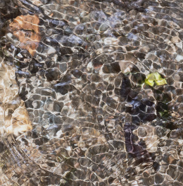 1040.  PAUL EDWARD DAVIES (Inglaterra, 1962)And lets things speak to me..., 2019