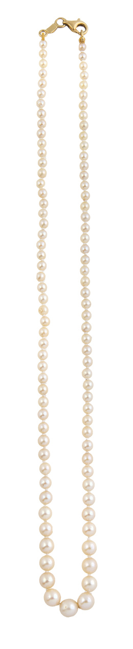 131.  Collar de perlas con tamaño en aumento hacia el centro