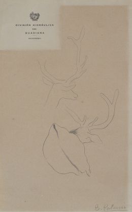 924.  BENJAMÍN PALENCIA (Barrax, Albacete, 1894 - Madrid, 1980)Ciervos, años 20