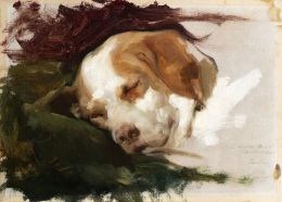 863.  JOAQUÍN SOROLLA Y BASTIDA (Valencia, 1863 - Madrid, 1923) Cabeza de perro