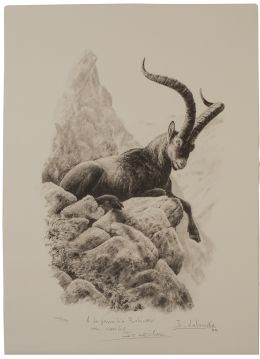 851.  JOSECHU LALANDA (San Sebastián, 1939 - Arganda del Rey​, 2015)Macho montés