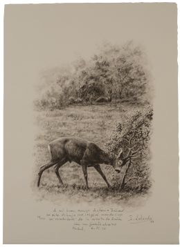 854.  JOSECHU LALANDA (San Sebastián, 1939 - Arganda del Rey​, 2015)Corzo contra un arbusto