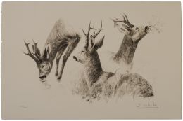 856.  JOSECHU LALANDA (San Sebastián, 1939 - Arganda del Rey​, 2015)Estudio de corzos