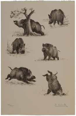 853.  JOSECHU LALANDA (San Sebastián, 1939 - Arganda del Rey​, 2015)Estudio de jabalíes