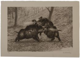 855.  JOSECHU LALANDA (San Sebastián, 1939 - Arganda del Rey​, 2015)Jabalíes enfrentados
