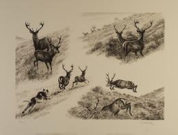 903.  JOSECHU LALANDA (San Sebastián, 1939 - Arganda del Rey​, 2015)Venados