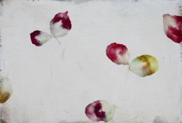 1040.  ANTONIO MURADO (Lugo, 1964)Pétalos, 2010