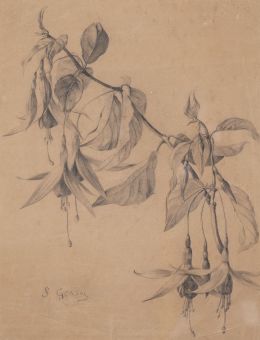 858.  SEBASTIAN GESSA (Chiclana, Cádiz, 1840-Madrid, 1920)Estudio de flores