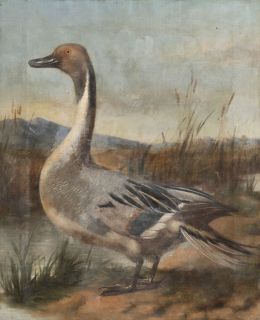 808.  ESCUELA ESPAÑOLA, SIGLO XIXPato sobre un paisaje