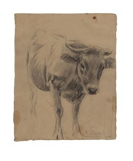 833.  FRANCISCO LLORENS DÍAZ (La Coruña, 1874-Madrid, 1948)Apunte de toro
