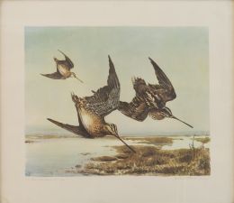 861.  ESCUELA ESPAÑOLA, SIGLO XXBecadas