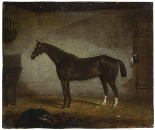 H.J. QUINTIN (ESCUELA INGLESA, SIGLO XIX)Caballo