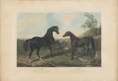 JOHN FREDERICK, SIR HERRING (1795 - 1865) y JOHN III HARRIS