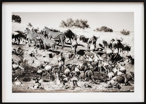 PIO CABANILLAS (Madrid, 1958)Kusonga (On the Move), 2021